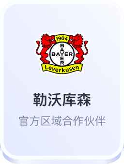 开云体育与勒沃库森德甲俱乐部合作